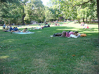 dsc02276_thumb.jpg