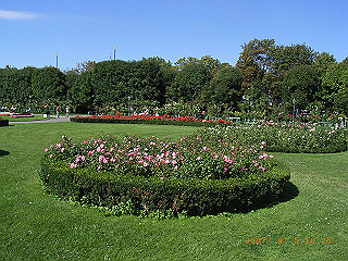 rimg0759_thumb.jpg