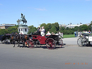 rimg0816_thumb.jpg