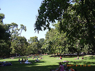 rimg0990_thumb.jpg