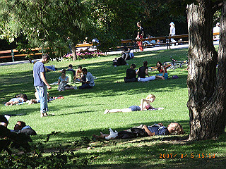 rimg0992_thumb.jpg