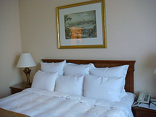 dsc02299_thumb.jpg