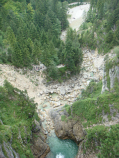 dsc02367_thumb.jpg