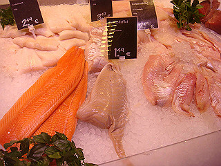 dsc02428_thumb.jpg