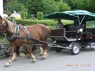 rimg1367_thumb.jpg