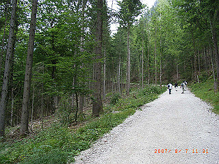 rimg1389_thumb.jpg