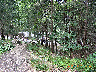rimg1436_thumb.jpg