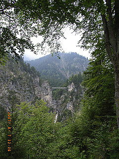rimg1506_thumb.jpg