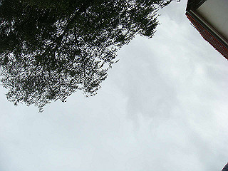 dsc02481_thumb.jpg