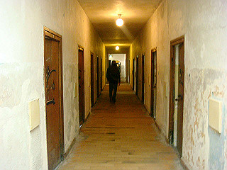 dsc02489_thumb.jpg