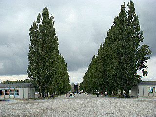 dsc02502_thumb.jpg