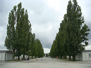 dsc02503_thumb.jpg