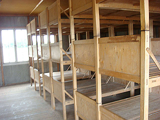 dsc02511_thumb.jpg
