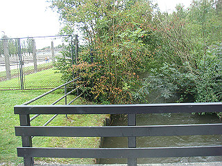 dsc02519_thumb.jpg