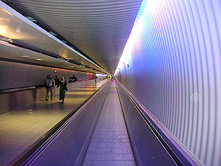 dsc02546_thumb.jpg