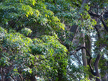 dsc06678_thumb.jpg