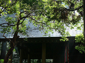 dsc06679_thumb.jpg