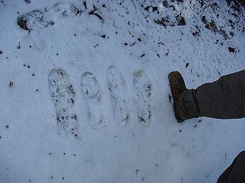 dsc06690_thumb.jpg