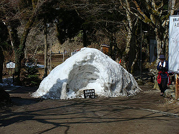dsc06696_thumb.jpg