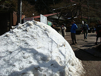 dsc06701_thumb.jpg