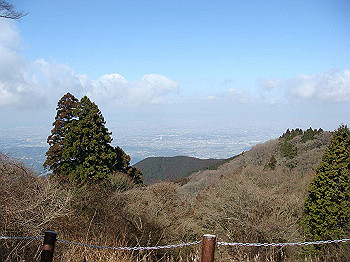 dsc06702_thumb.jpg