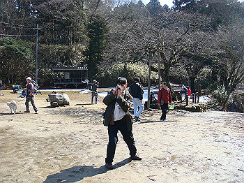 dsc06705_thumb.jpg