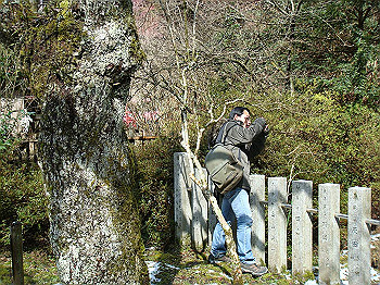 dsc06727_thumb.jpg