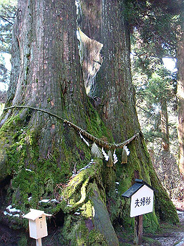 dsc06736_thumb.jpg