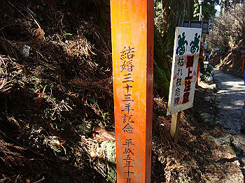 dsc06740_thumb.jpg