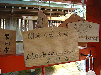 dsc06749_thumb.jpg