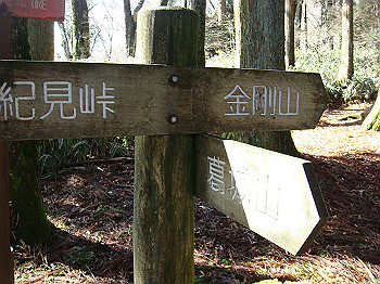 dsc06756_thumb.jpg