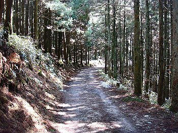 dsc06758_thumb.jpg