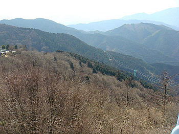 dsc06761_thumb.jpg