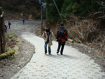 dsc06765_thumb.jpg