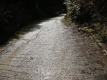 dsc06767_thumb.jpg