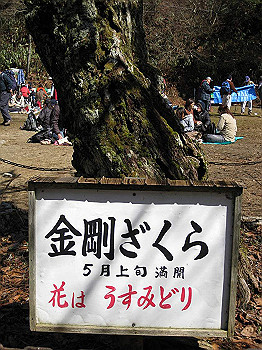 img_2307_thumb.jpg