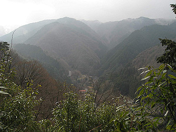 img_2933_thumb.jpg