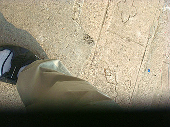 200908260141_thumb.jpg