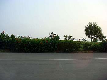 200908260215_thumb.jpg