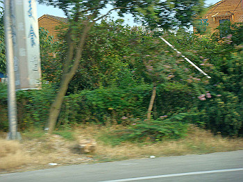 200908260222_thumb.jpg