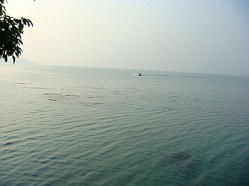 200908260229_thumb.jpg