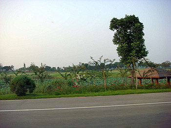 200908260278_thumb.jpg