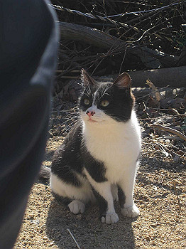 kisho081_thumb.jpg