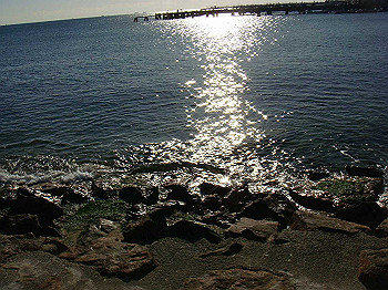 tsuji008_thumb.jpg