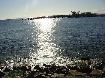 tsuji009_thumb.jpg