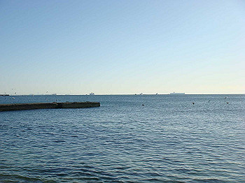 tsuji015_thumb.jpg
