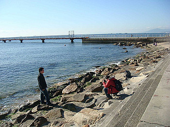 tsuji019_thumb.jpg