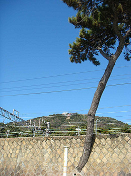 tsuji023_thumb.jpg