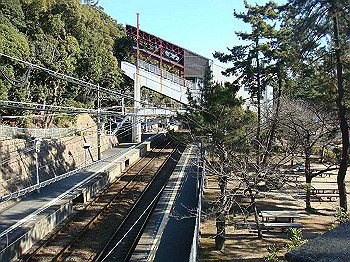 tsuji033_thumb.jpg