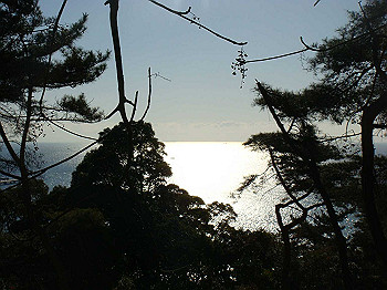 tsuji038_thumb.jpg